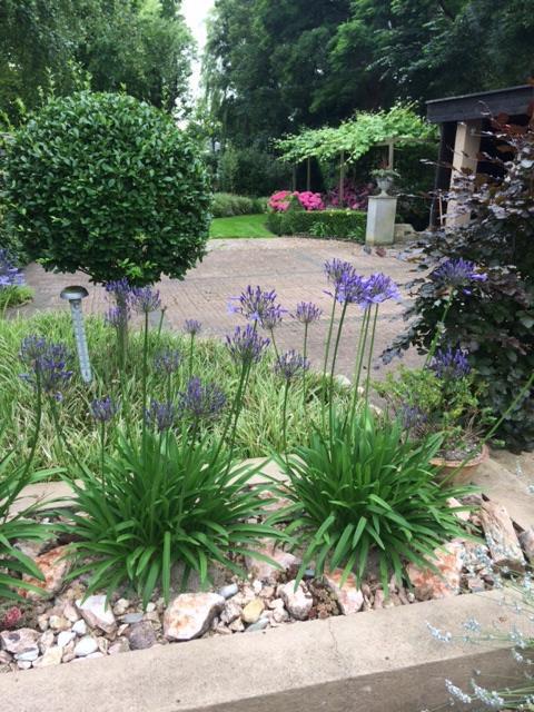 Agapanthus Bed And Breakfast Hoogkarspel Exteriér fotografie