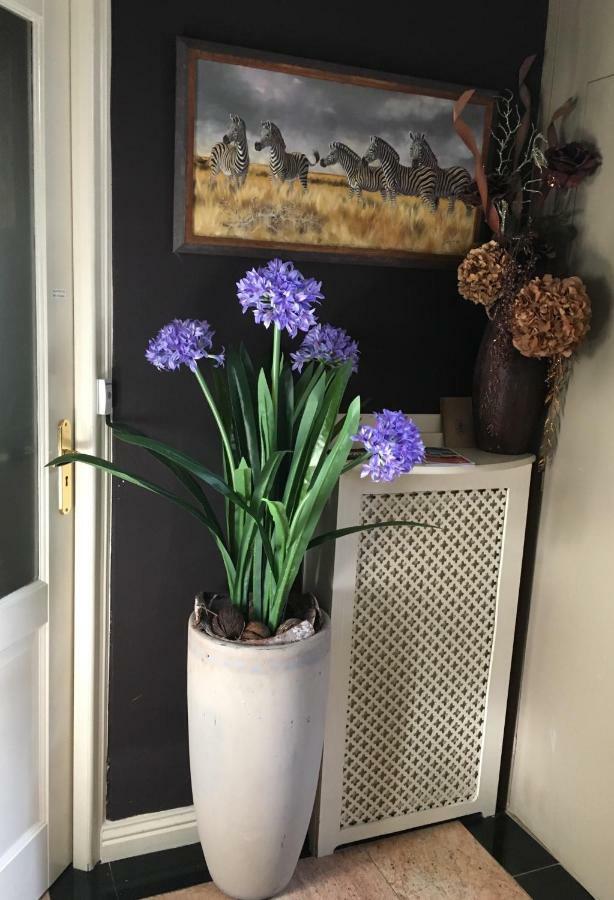 Agapanthus Bed And Breakfast Hoogkarspel Exteriér fotografie